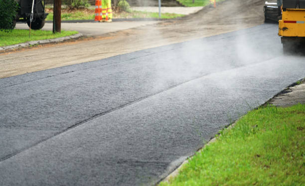 Best Driveway Pavers Near Me  in Lake Vla, IL